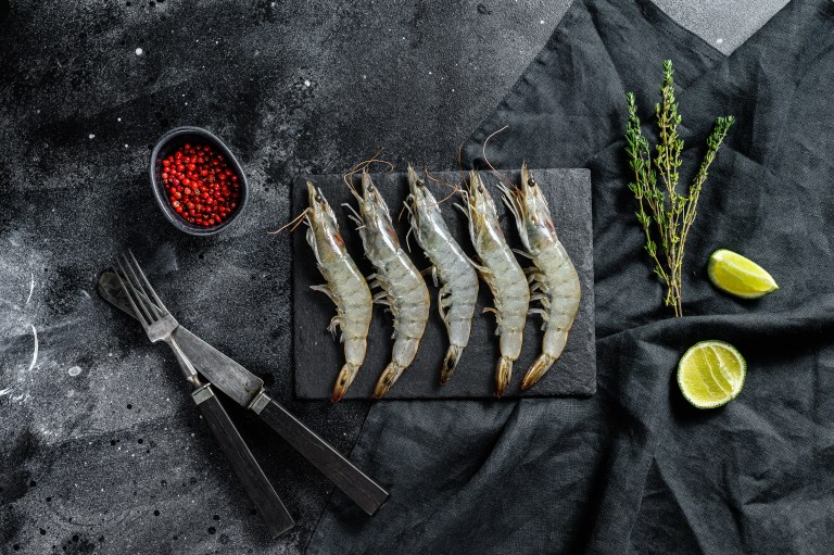 fresh raw giant shrimps