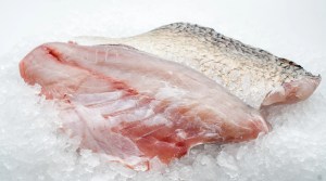 Barramundi Fillet